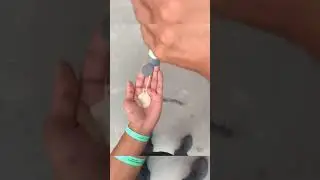 LOL! Shot on iPhone 13  Meme | tik tok
