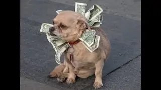 LAZY WAY TO HAVE MONEY MAKE MONEY EASY WAY IN LONDON ON 2017 2018