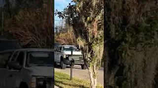 THE DAY I GOT MY DREAM TRUCK