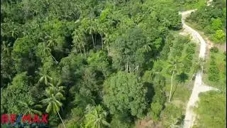 Land for Sale 2.5 million THB , Nathon, Koh Samui, Thailand