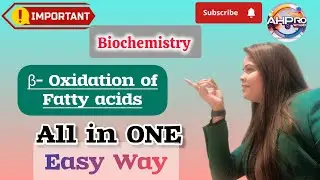 Beta Oxidation of Fatty Acids | Biochemistry | Lipid Metabolism | Hindi | Allied Health Science 