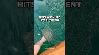 Times When Life Hits Different &mdash; Part 70