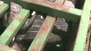 Portable Horizontal Tire Baler