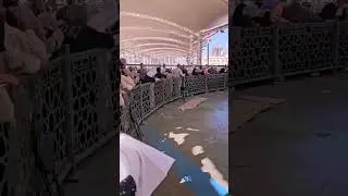 1 февраля 2026 г.