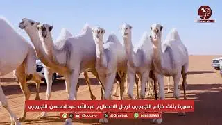 مسيرة بنات خزام التويجري لرجل الاعمال/ عبدالله عبدالمحسن التويجري مهرجان الملك عبدالعزيز للإبل 10