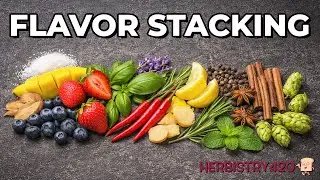 Flavor Stacking Hits Explained (For People Who Like to Think First)