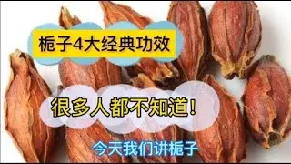 中医中药知识普及-揭秘栀子4大经典功效，你知道一个就了不起！