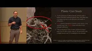 Wise Traditions Conference 2022 - Cardiac Metabolism Why Cancer of the Heart is So Rare