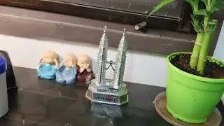 My first YouTube video Day -1 #guppy #hobby#firstvlog #love #desk #top 