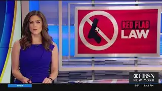 Red Flag Law Allows Guns To Be Removed From 'At-Risk' Owners