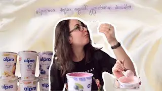 alpro&rsquo;nun vegan yoğurtlarını denedim