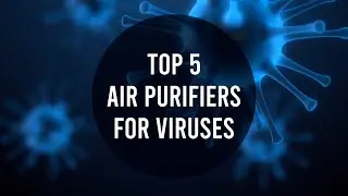Best Air Purifiers for Viruses and Bacteria | Sylvane