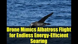 Drone Mimics Albatross Flight for Endless Energy-Efficient Soaring