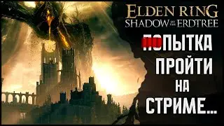Пытаюсь распробовать Elden Ring: Shadow of the Erdtree (4)