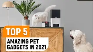 Top 5 Amazing Pet Gadgets You Must Have