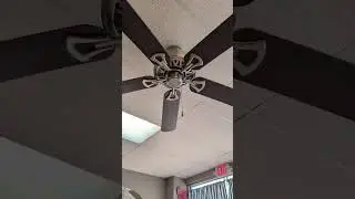 Ceiling fan spin down at local florist shop #ceilingfan