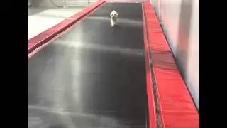 Maliboo chasing Mackenzie Ziegler