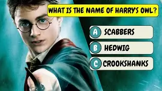 The Ultimate Harry Potter Quiz Extravaganza..!