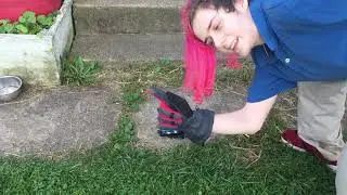 Chris destroys a Camera