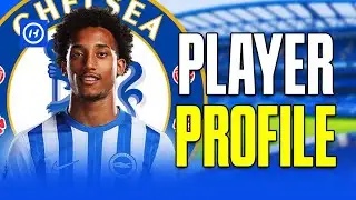Joao Pedro to Chelsea! - Player Profile