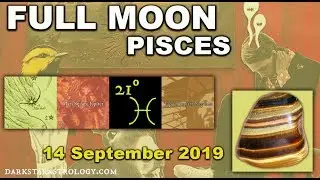 Full Moon September 2019 ~ Fight Or Flight? By Marina @Darkstar