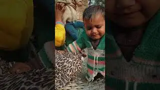 Betiya