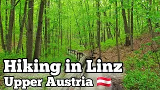 Best Hiking path in Austria  #Hiking  #Austria #Walk  #Forest