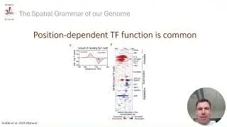 3 Minute Papers: Position-dependent function of human sequence specific transcription factors