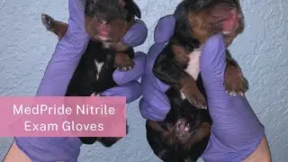 MedPride Nitrile Exam Gloves Review | Powder-Free