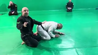 Introduction to Anticipating Turtle Transitions
