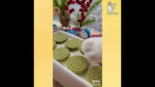 A cat with amazing cooking skills #75