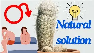 Boost Your Sexual Health Naturally: The Power of Nitric Oxide and Lifestyle Changes