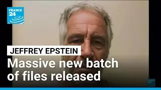 Trump, Musk cited in new batch of Epstein files released by US DoJ &bull; FRANCE 24 English