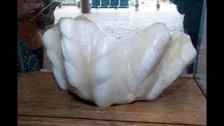 LARGEST  PEARL IN THE WORLD-LARGEST PEARL FOUND IN PALAWAN