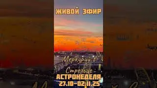 Live stream. Today at 5 PM Moscow time on VK.