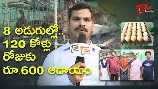 8 అడుగుల్లో.. 120 కోళ్ళు రోజుకు రూ. 600 ఆదాయం..!  Mini Poultry Farm in Telugu | Tone Agri