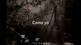 Theres This Girl - Sign Crushes Motorist // Letra Traducida Sub Español