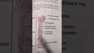 #aiims #esicsyllabus #nursing#shots