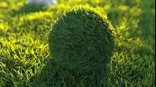 Grass Ball Logo