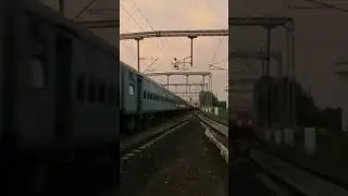 Speed Train hits Dog🐕🐕🐕🐕🐕