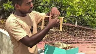 சட்டம் கொண்ட தேனீ வளர்ப்பு பெட்டி – இயற்கை முறையில் தேனீ வளர்ப்பு!