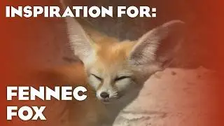 8 Real Fennec Fox Habitats! (Planet Zoo Inspiration)