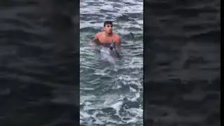 Baby dolphin rescue