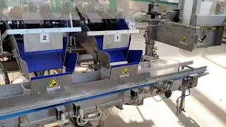 PAKFRUT COR-300 - AZ. AGR. NARDONI - Contafrutti riempitore autom. - Automatic fruit counter/filler