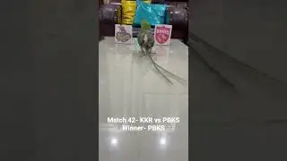IPL Match 42- KKR vs PBKS; Winner- PBKS. Match prediction by Chhotu parrot. #trending #viral #ipl