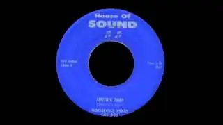 Roosevelt Sykes - Sputnik Baby
