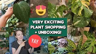 Rare plant shopping and chaotic as heck surprise mail unboxing