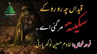 qaidan ch ro ro k sakina mar gayi ay noha nokhar party | 13 safar Shahdat Bibi Sakina s.a noha