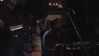 SWAMPADELICA    Bird In the House