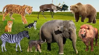CUTE Animals: Sheep, Cow, Elephant, Lion, Duck, Cat, Deer | Animals Sounds | Animals Video | #cow 